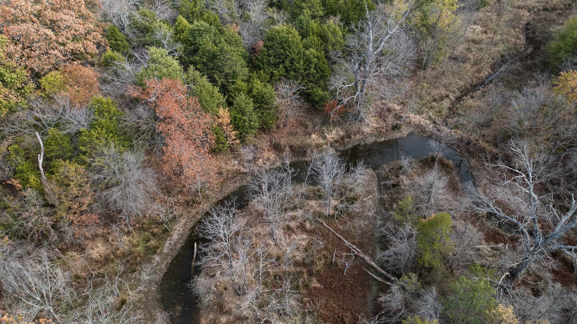 Crystal Springs photo 1