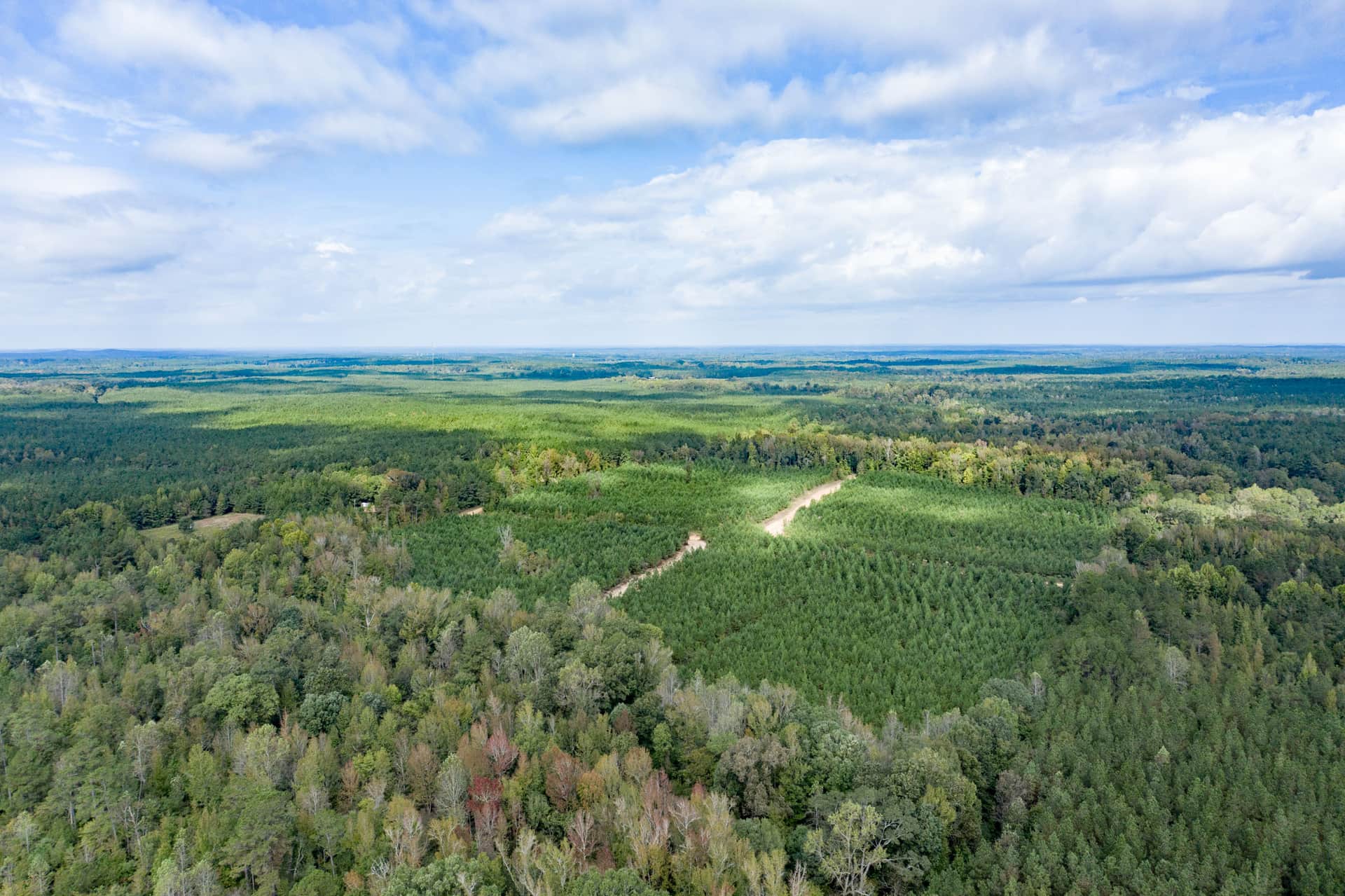 Sky Ranch, 2.68 to 2.87 acres in Attala County, Mississippi (photo 1 of 19)