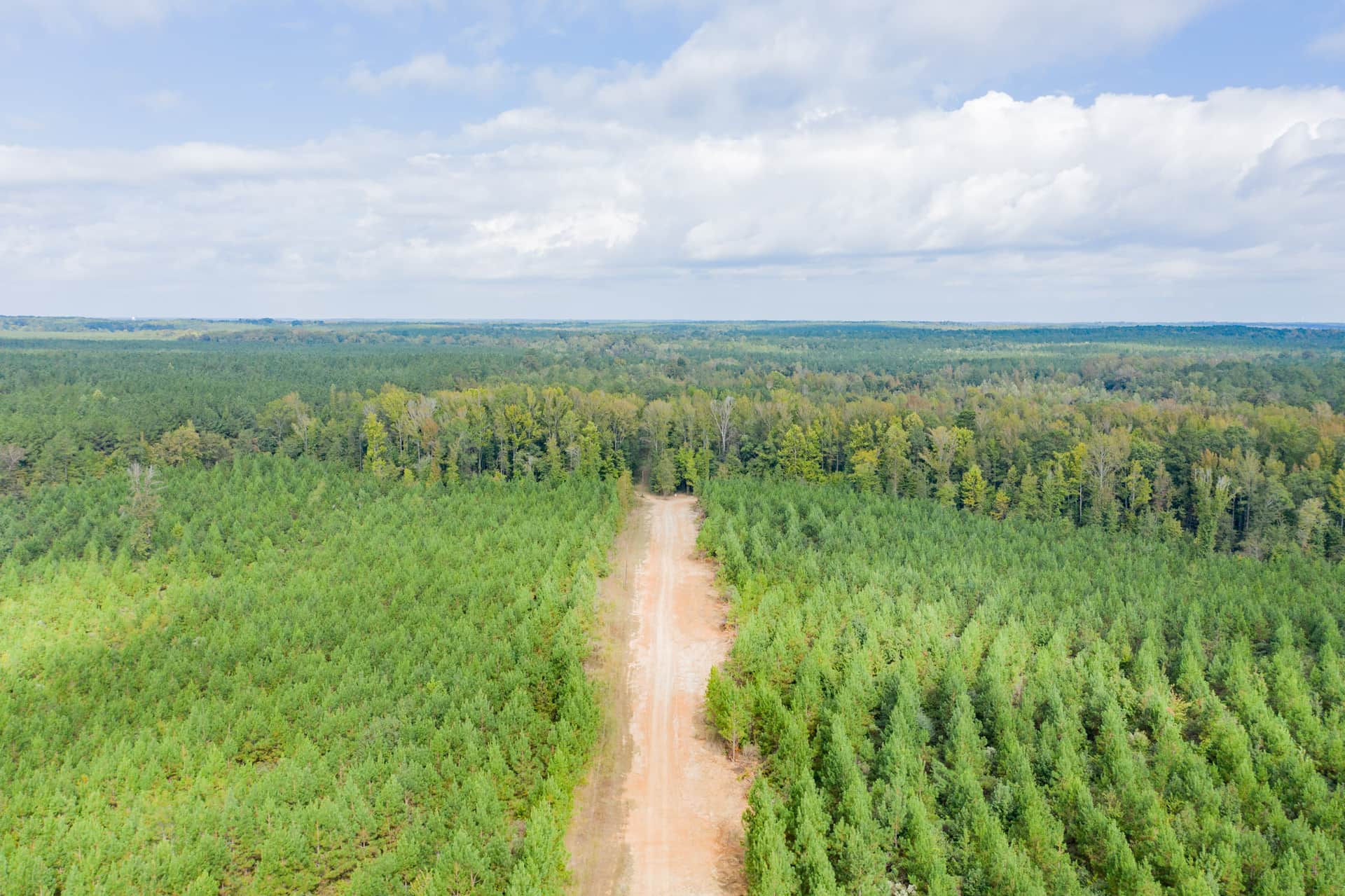 Sky Ranch, Tract 14, 2.58 acres in Attala County, Mississippi (photo 1 of 15)