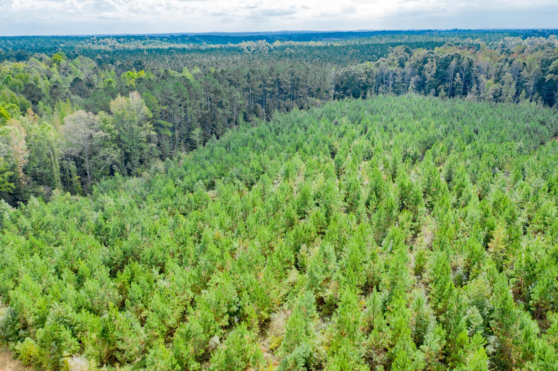 Sky Ranch Tract 6 photo 1