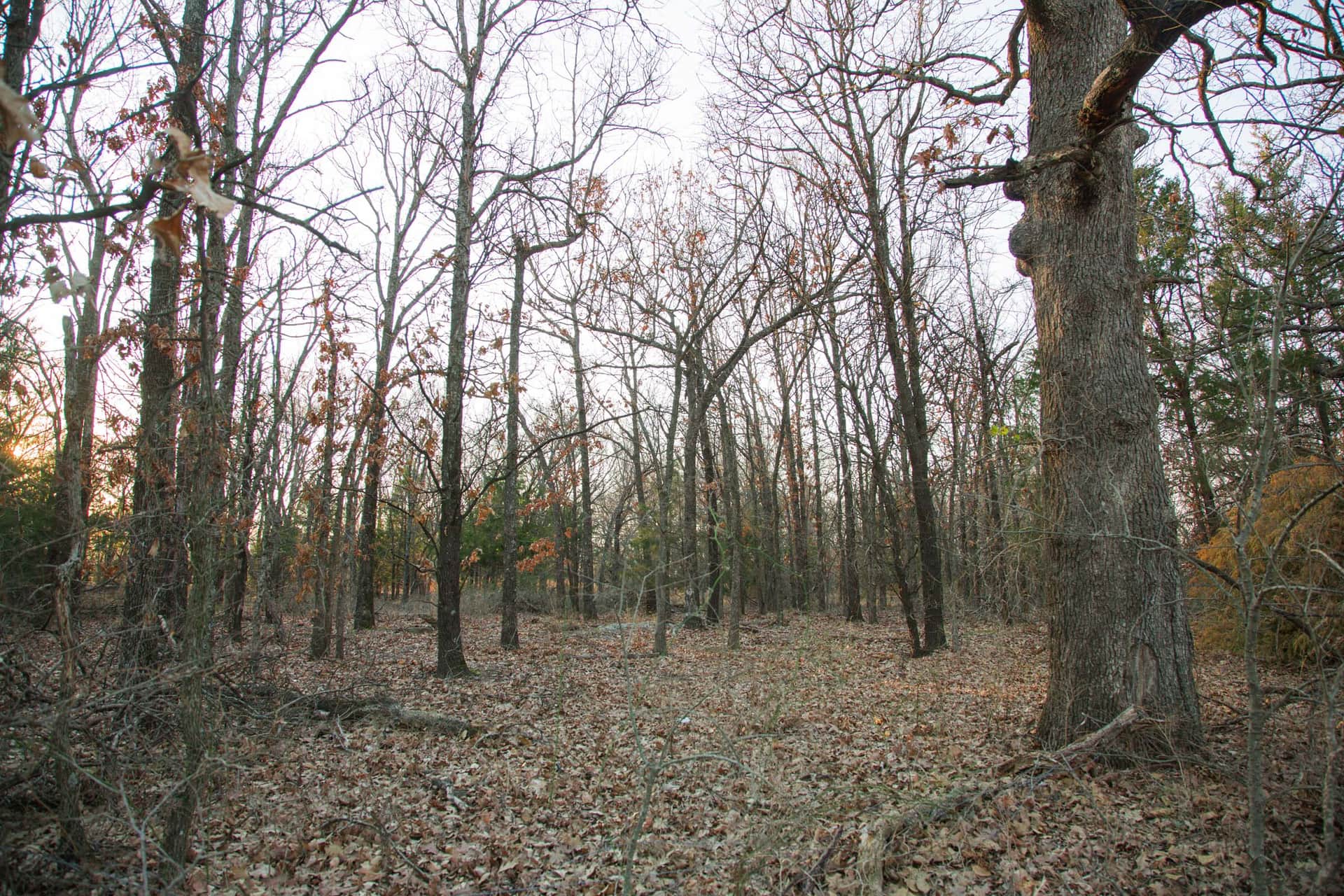 Eufaula Cove photo 1