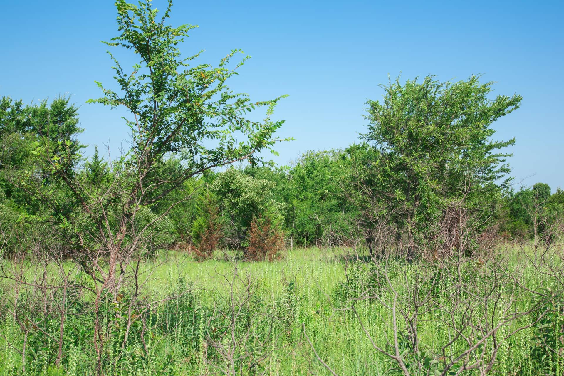 Deep Fork Ranch photo 1