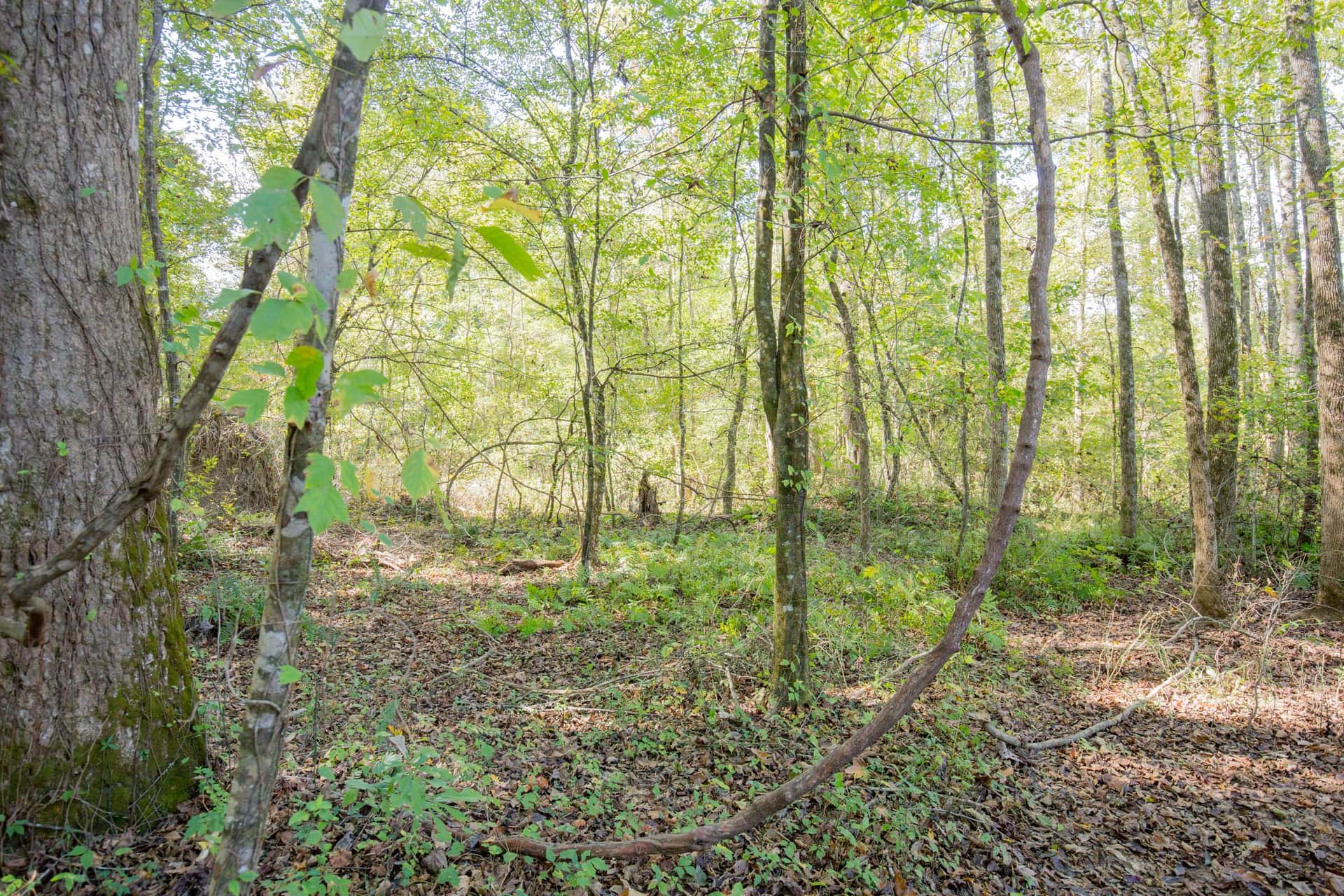 Sky Ranch Tract 10 photo 1