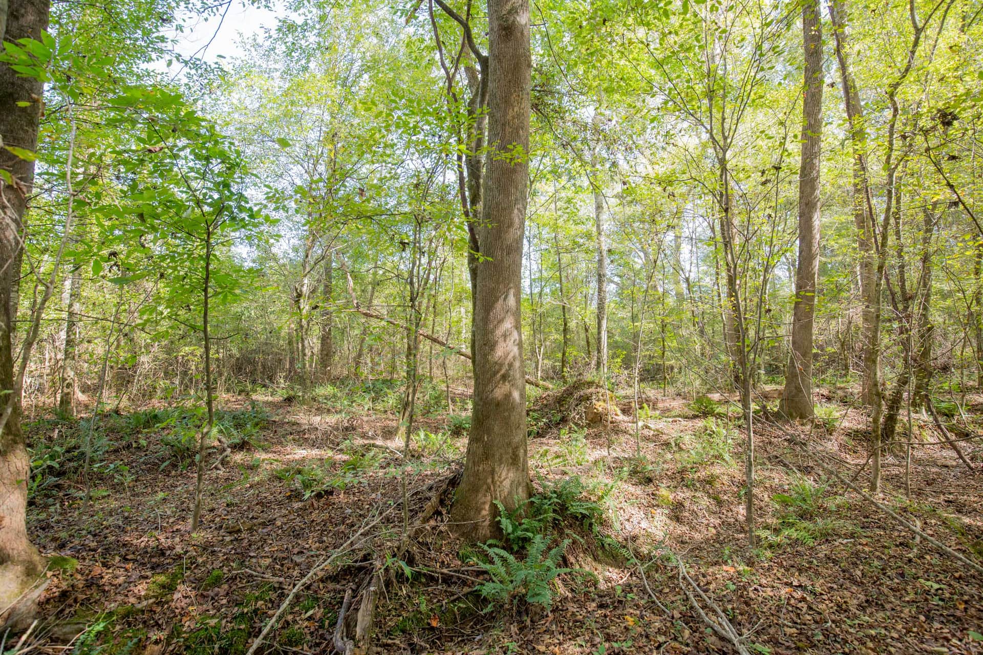 Sky Ranch Tract 9 photo 1