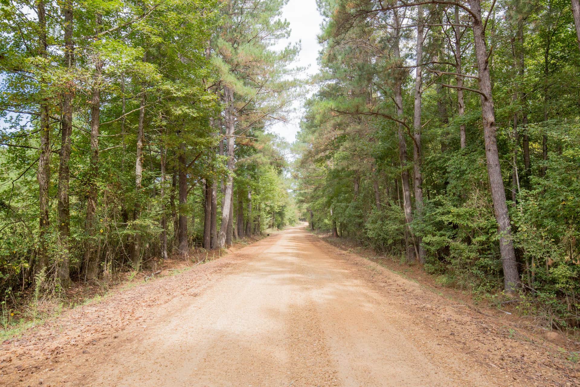 Sky Ranch Tract 12 photo 1