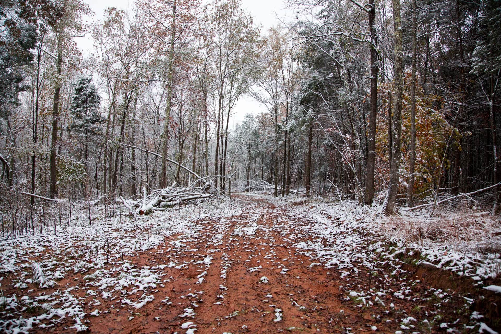 Sweet Water Ranch photo 1