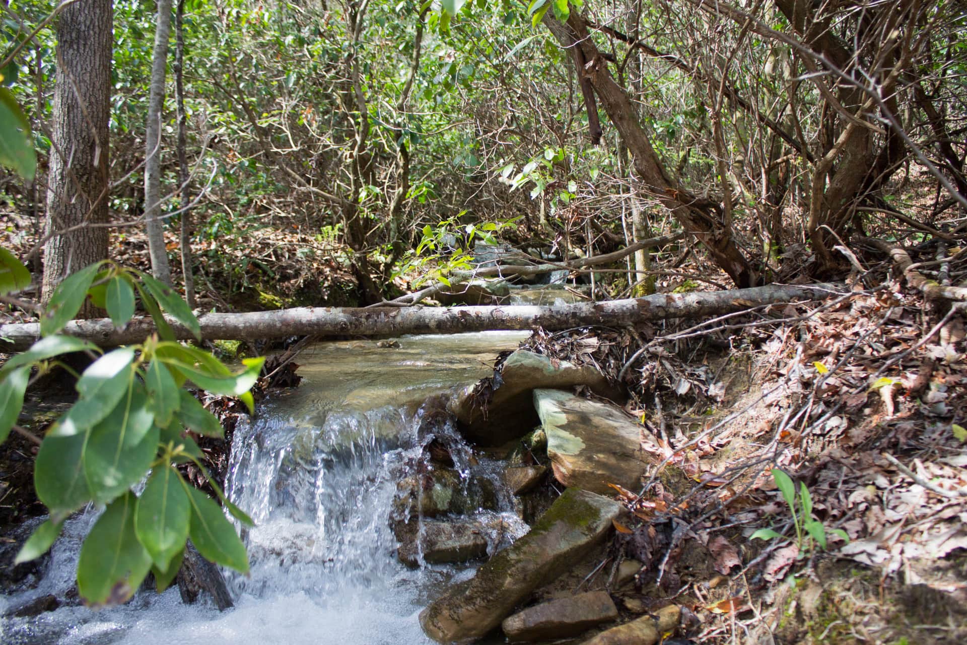 Hidden Hills photo 1