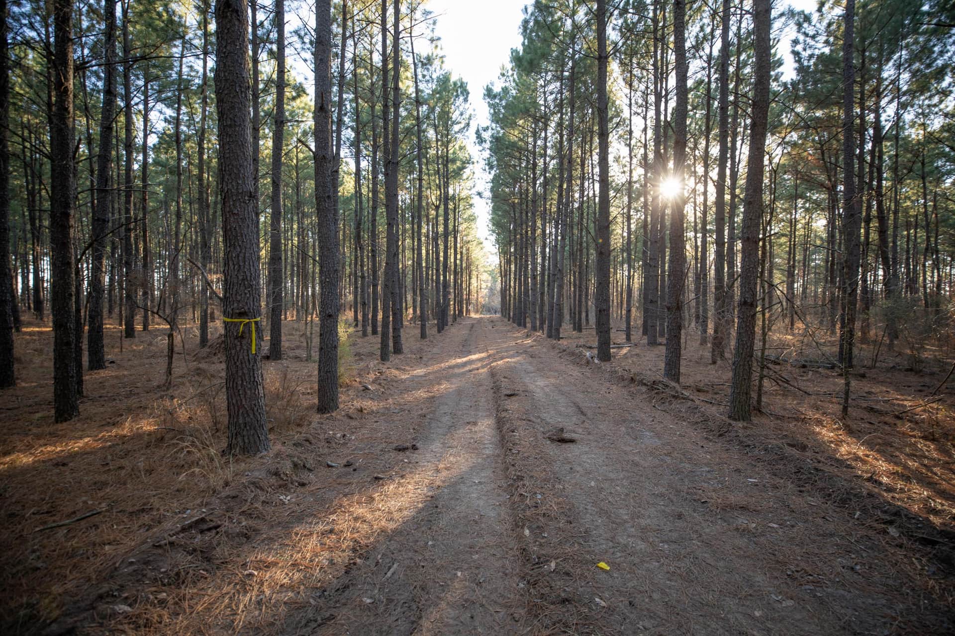 Wishing Star Ranch photo 1
