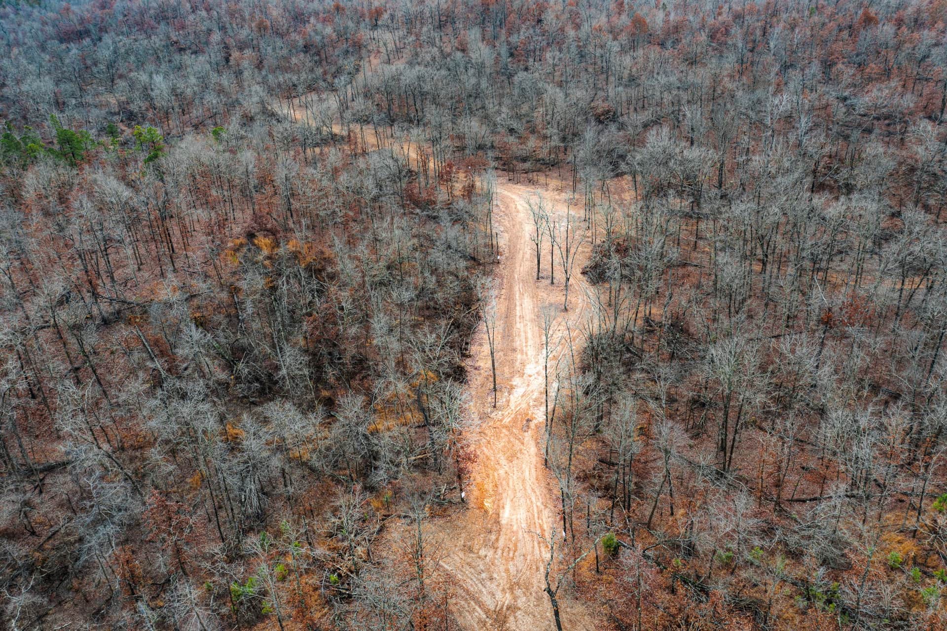 Carter’s Crossing photo 1