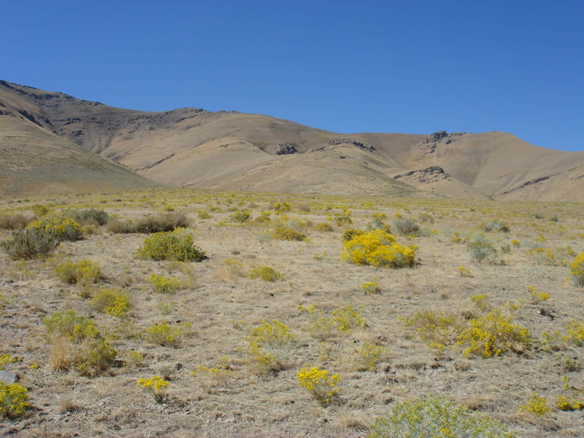 Humboldt County in Humboldt County, Nevada (photo 1 of 21)