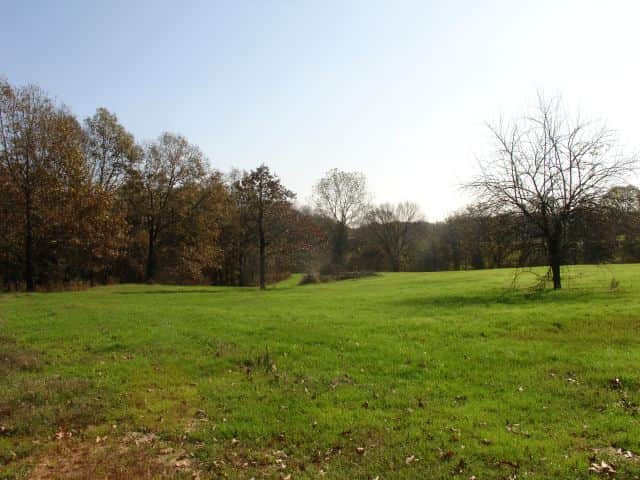 Tranquility Farms photo 1
