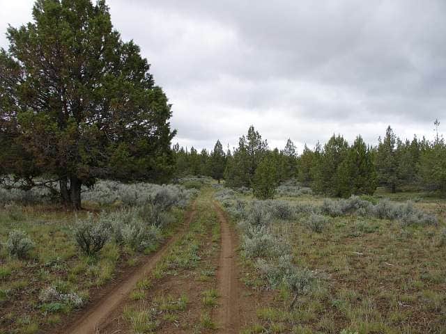 Modoc County photo 1