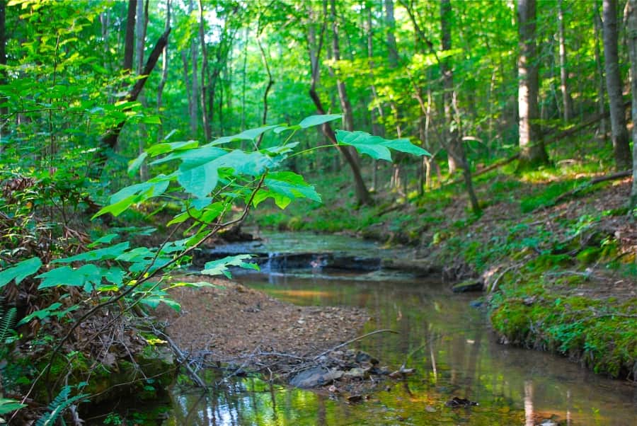 Sugartree Falls photo 1