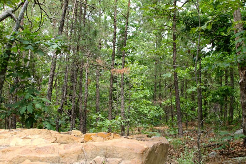 Trophy Ridge Phase III photo 1