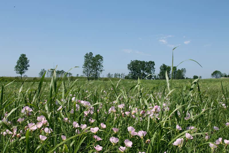 Red River Ranch photo 1