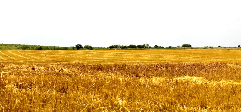Meadowview Estates photo 1