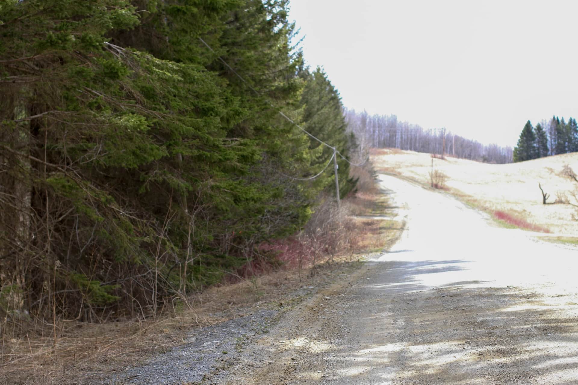 Sunrise Estates in Aroostook County, Maine (photo 1 of 29)