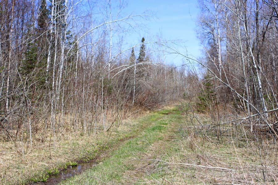 Abby Point photo 1