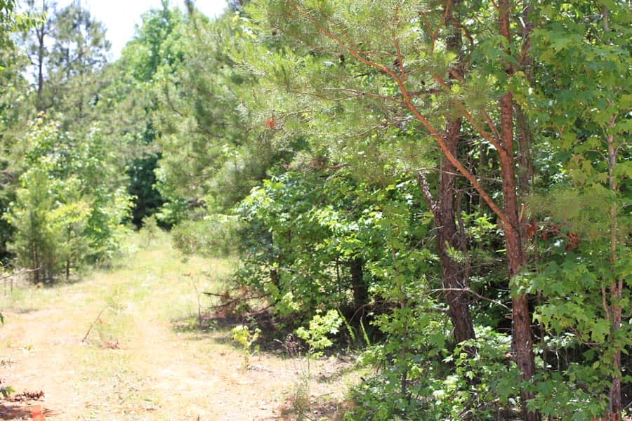Hickory Hill Ranch photo 1