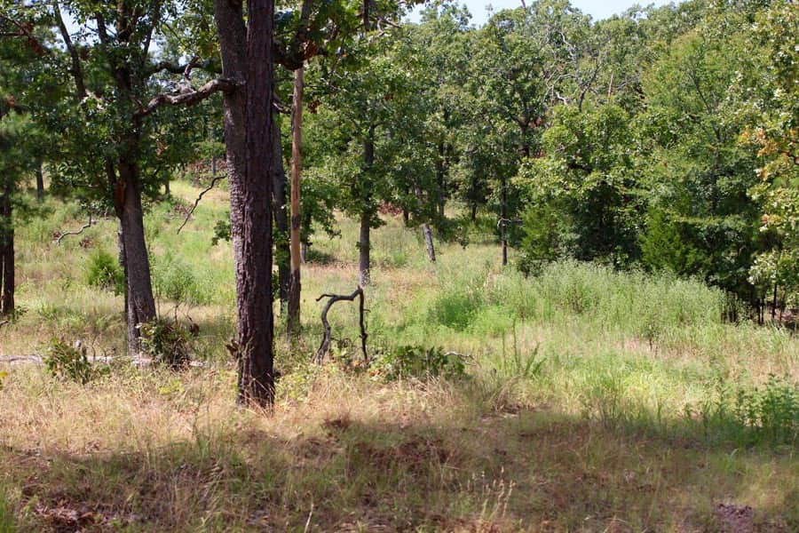 Lakeview Private Reserve photo 1