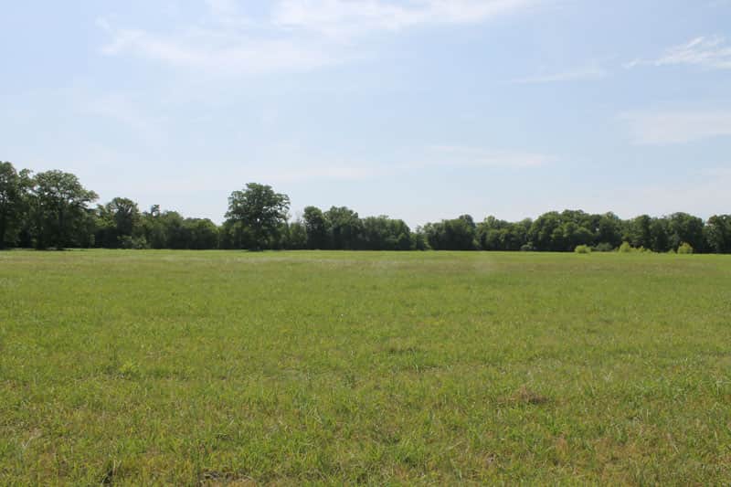 McCoy Creek Ranch in Red River County, Texas (photo 1 of 10)
