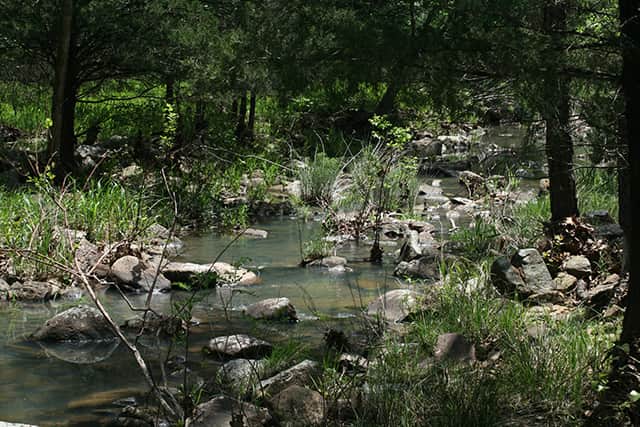 Pushmataha photo 1