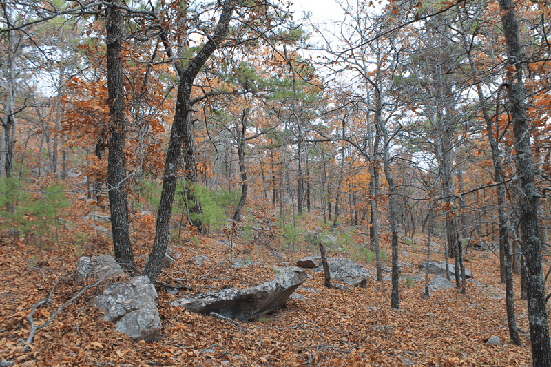 Indian Ridge – Phase I photo 1
