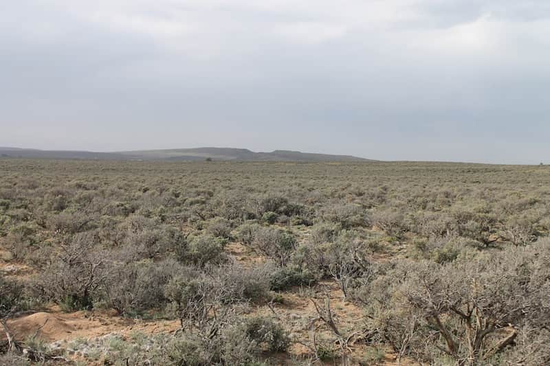 San Luis Valley Ranches photo 1