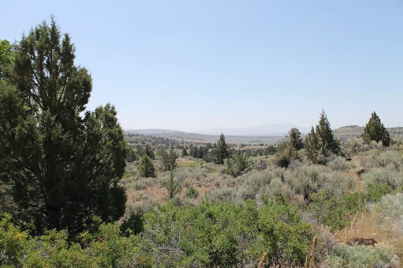 Moon Valley Ranch photo 1