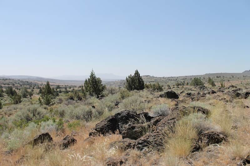 Ravendale Ranch photo 1