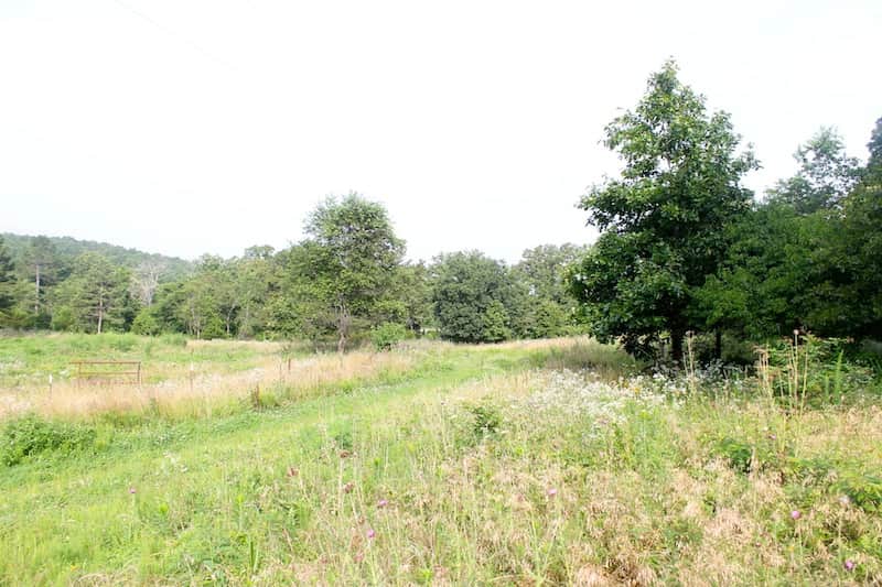 Green Mountain Ranch, 12.59 to 13.85 acres in Shannon County, Missouri (photo 1 of 11)