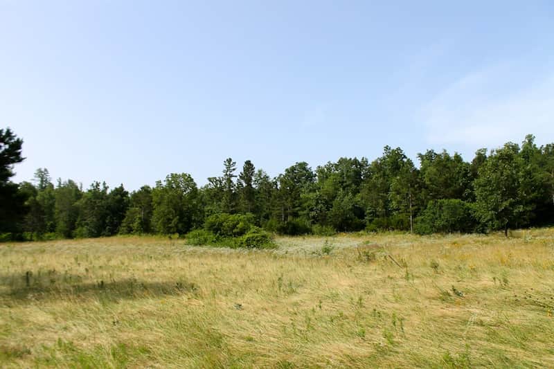 Green Mountain Ranch