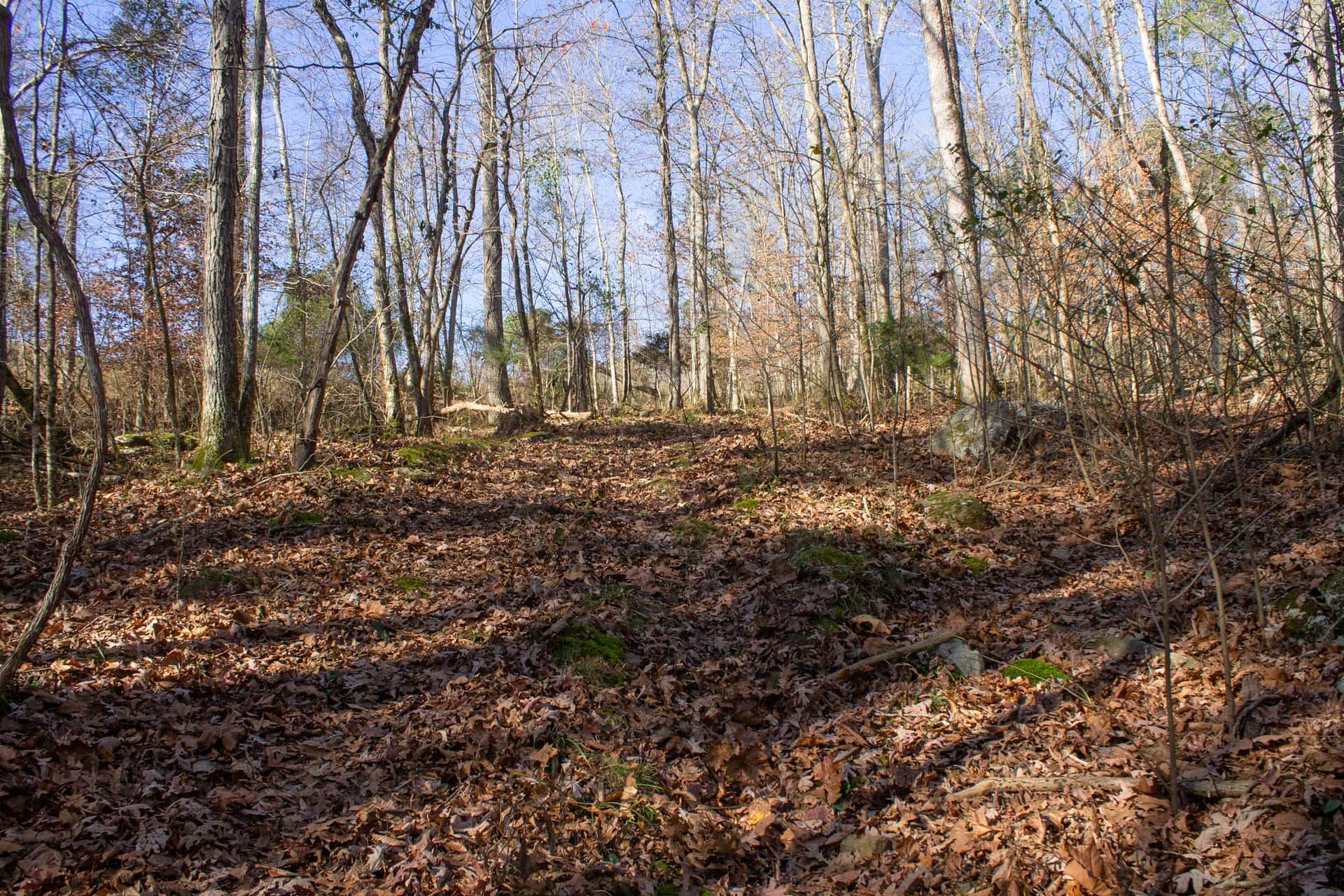 The Cliffs in Wayne County, Kentucky (photo 1 of 15)