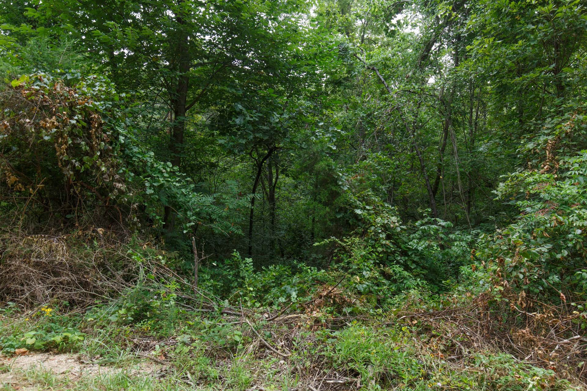 Spring Lake Plat 4 Tract 128 photo 1