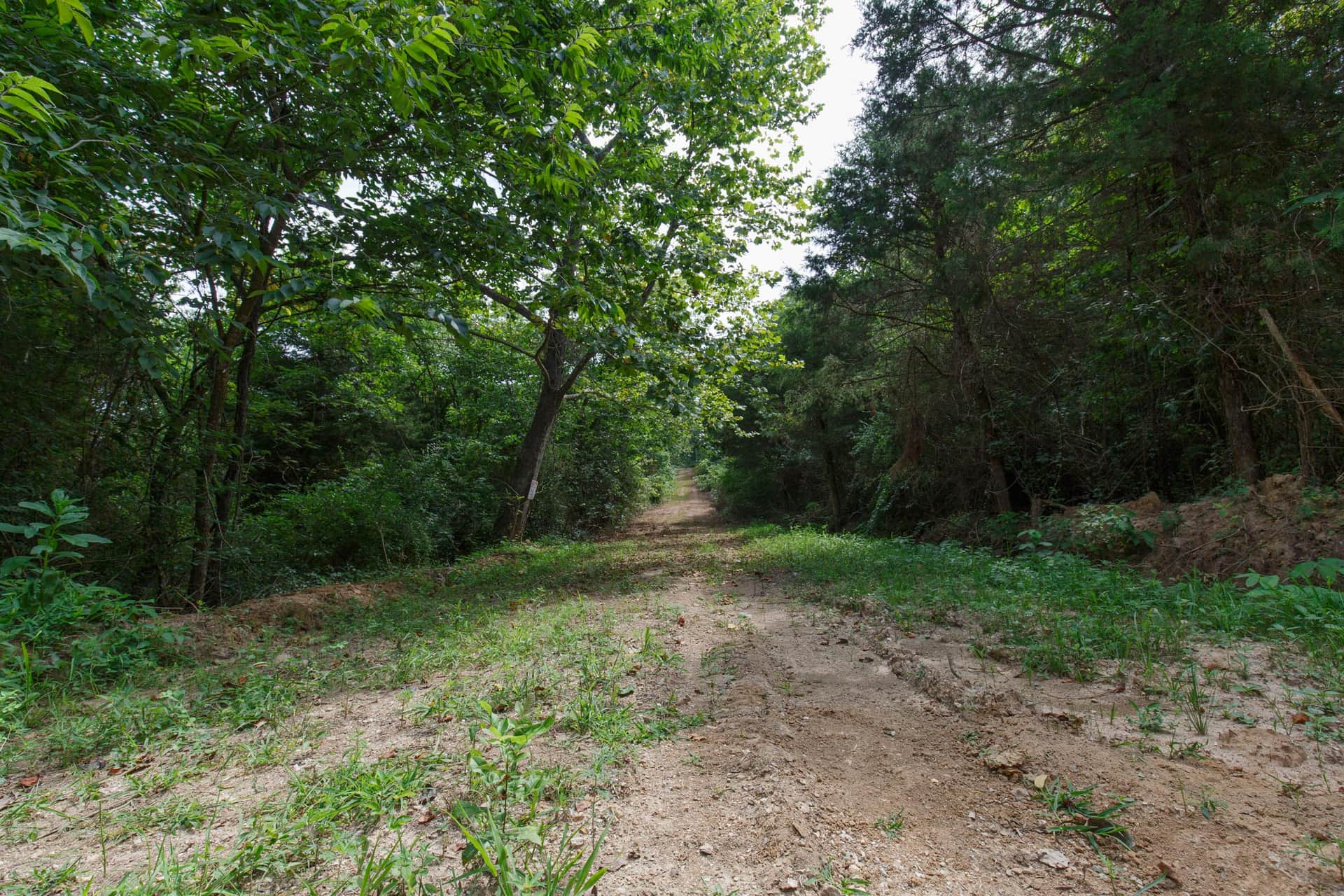 Spring Lake Plat 6 Tract 6 photo 1