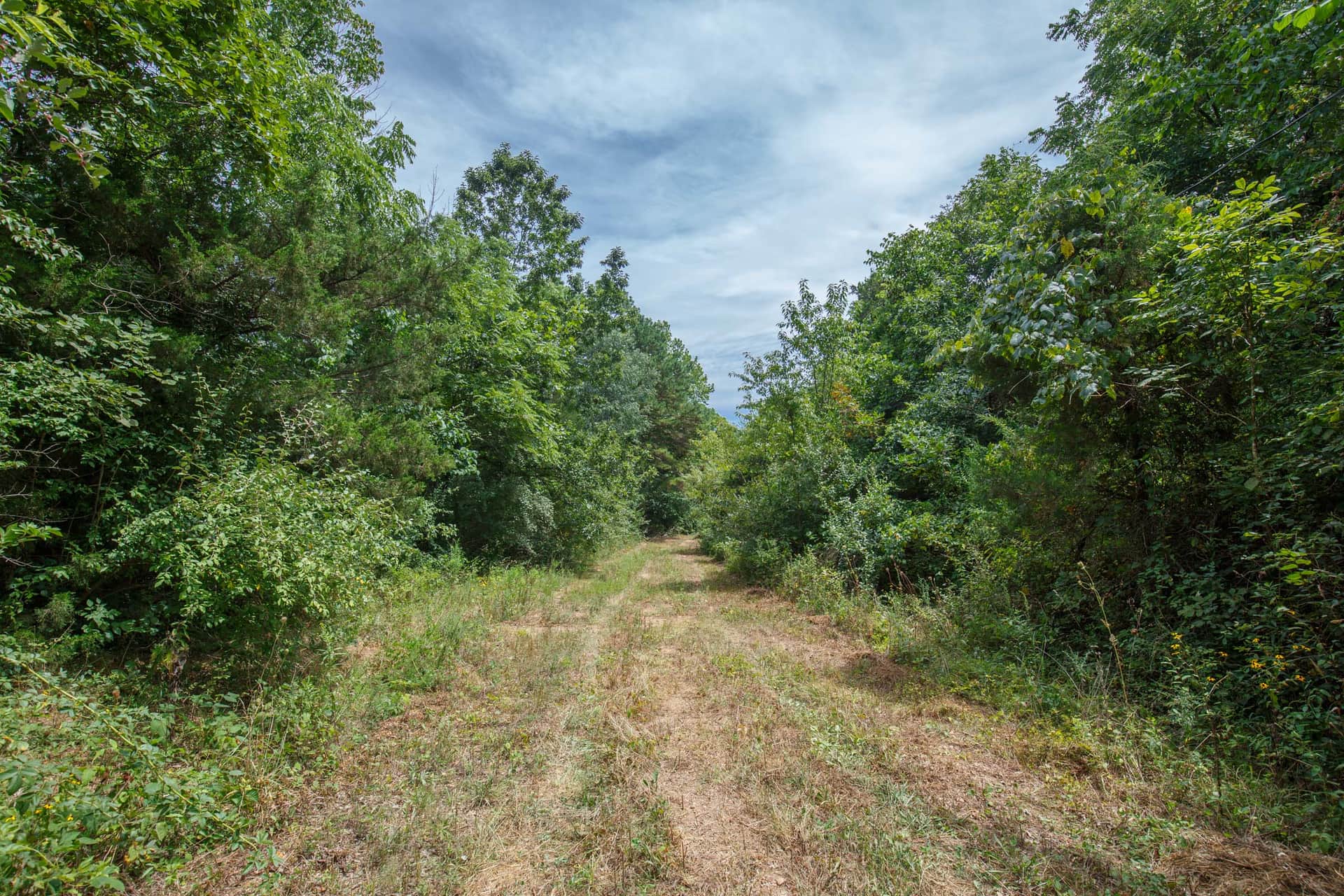 Spring Lake Plat 1 Tract 25 photo 1