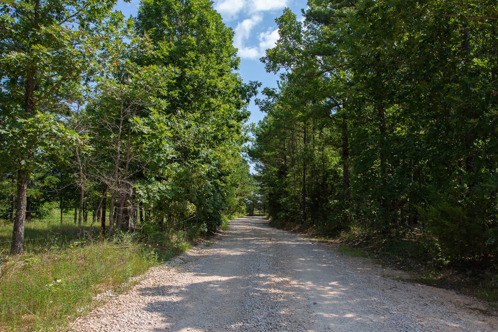 Borgmann’s Hollow Phase I photo 1