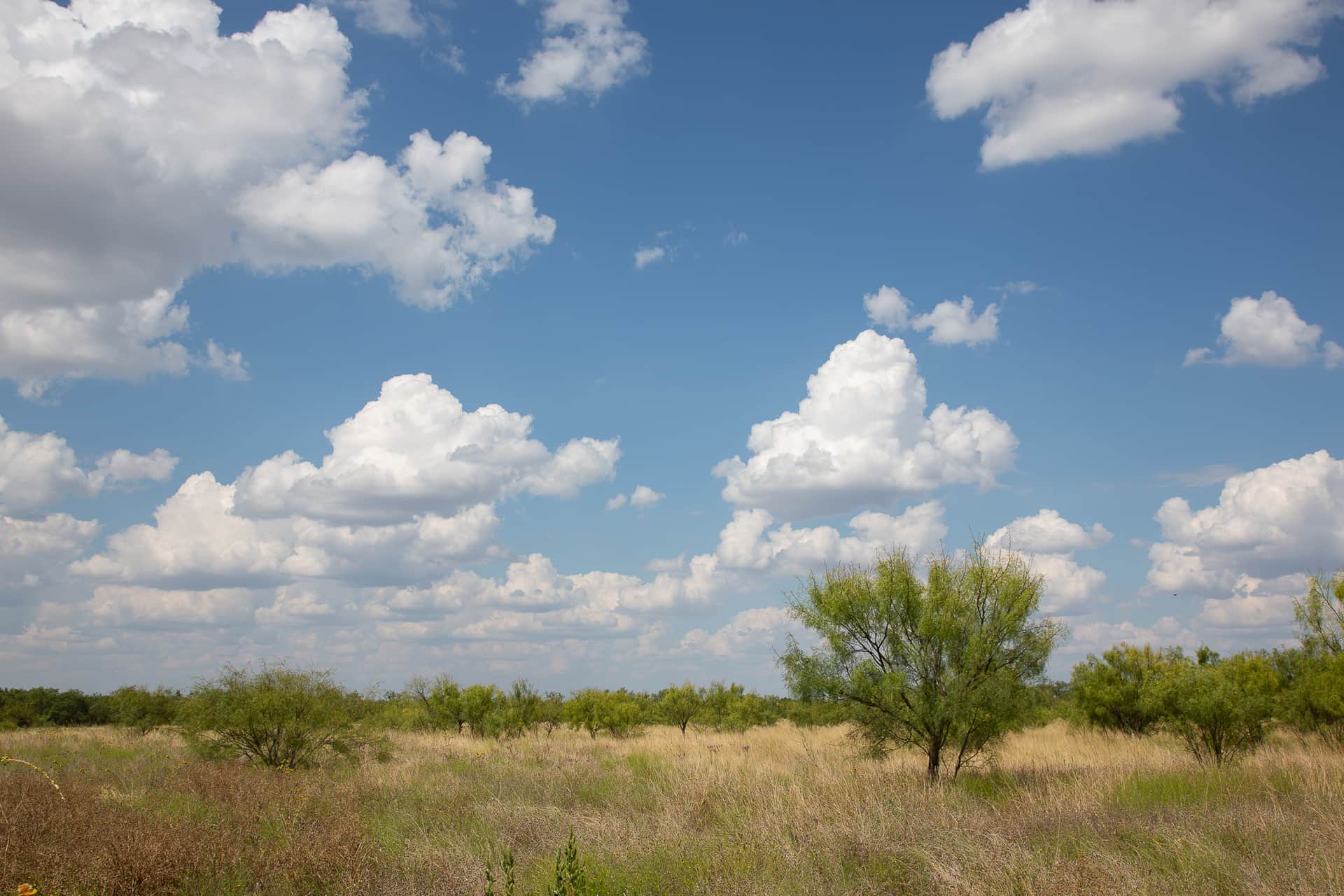 Hunter’s Ranch photo 1