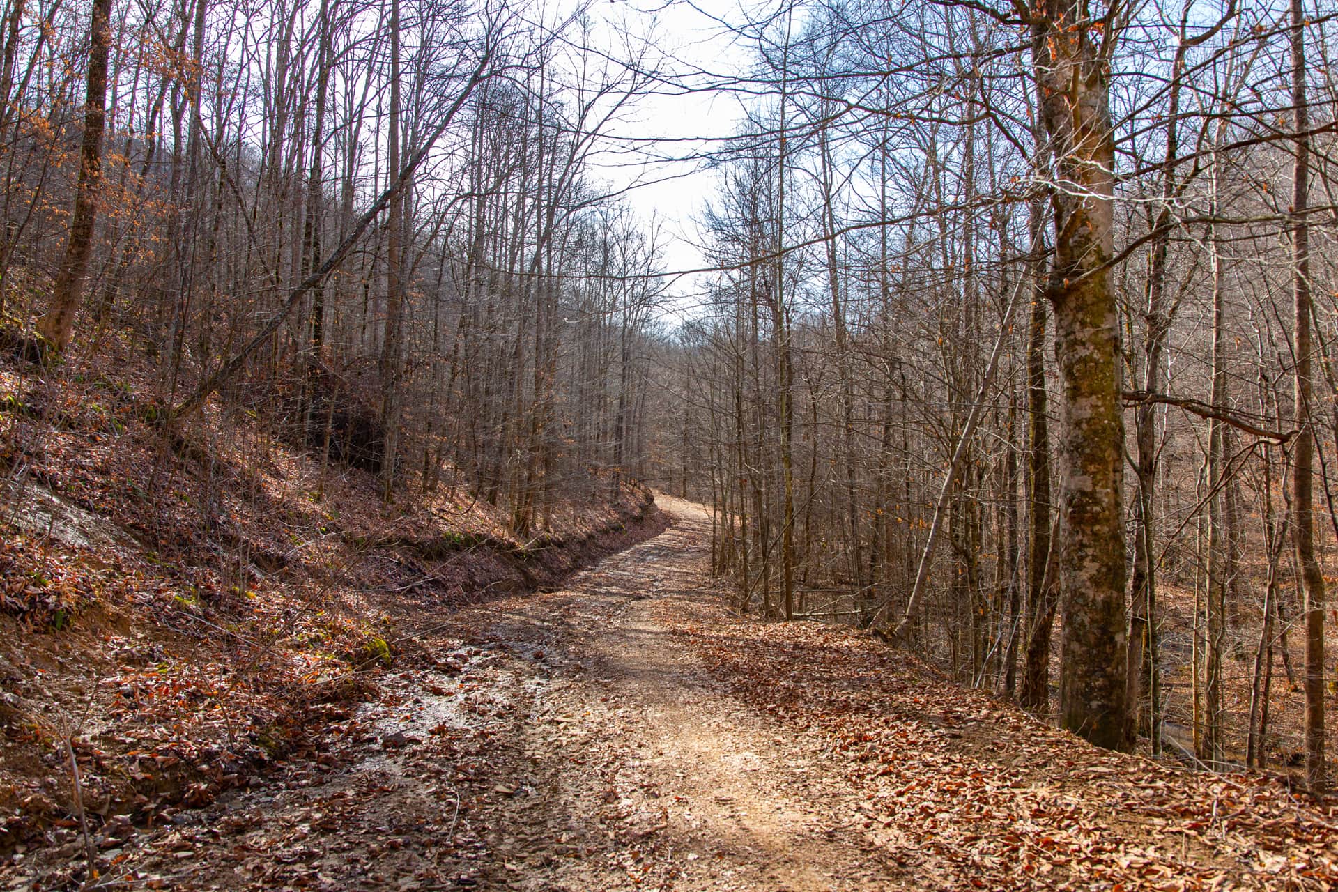 Blackstone Mountain Phase II photo 1