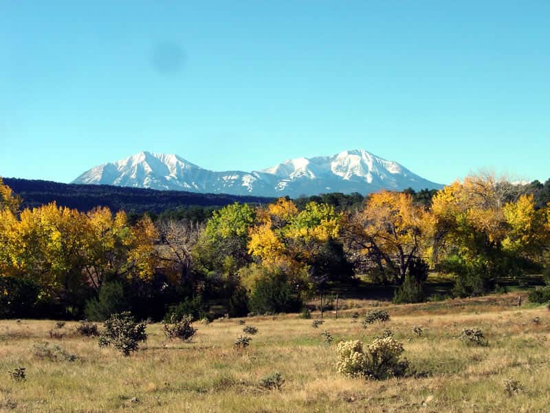 Black Diamond Park photo 1