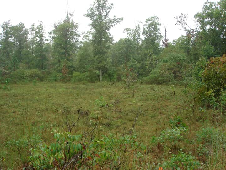 Ranches Of Montauk Park in Dent County, Missouri (photo 1 of 16)