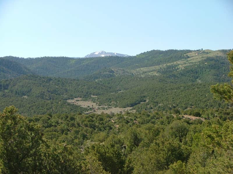 Eagle Ridge Ranch photo 1