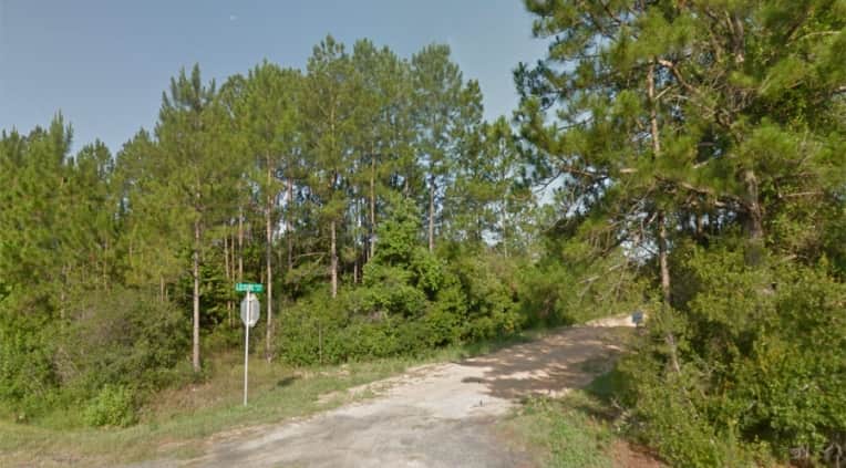 Bay County photo 1