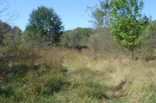 Hannubby Creek in Choctaw County, Oklahoma (photo 1 of 12)