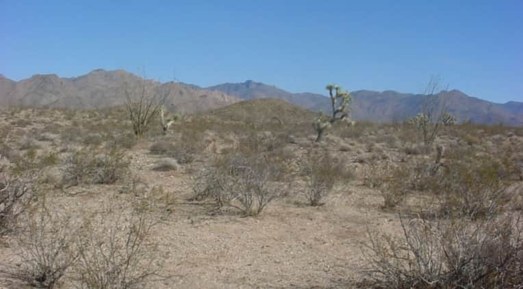 Mohave County photo 1