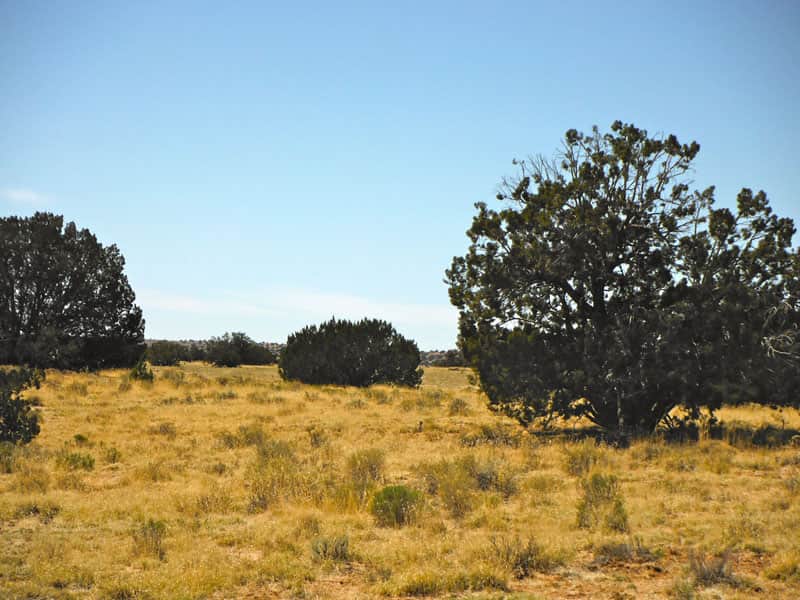 Navajo Ranch in Apache County, Arizona (photo 1 of 10)