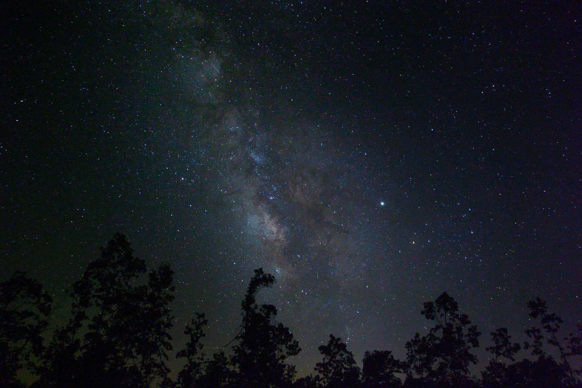 Borgmann’s Hollow Phase II photo 1