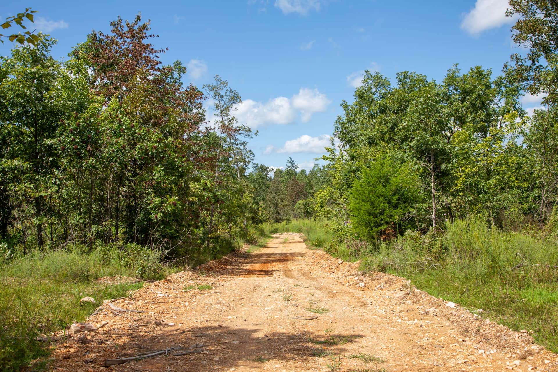 Borgmann's Hollow Phase III Tract 79 photo 1