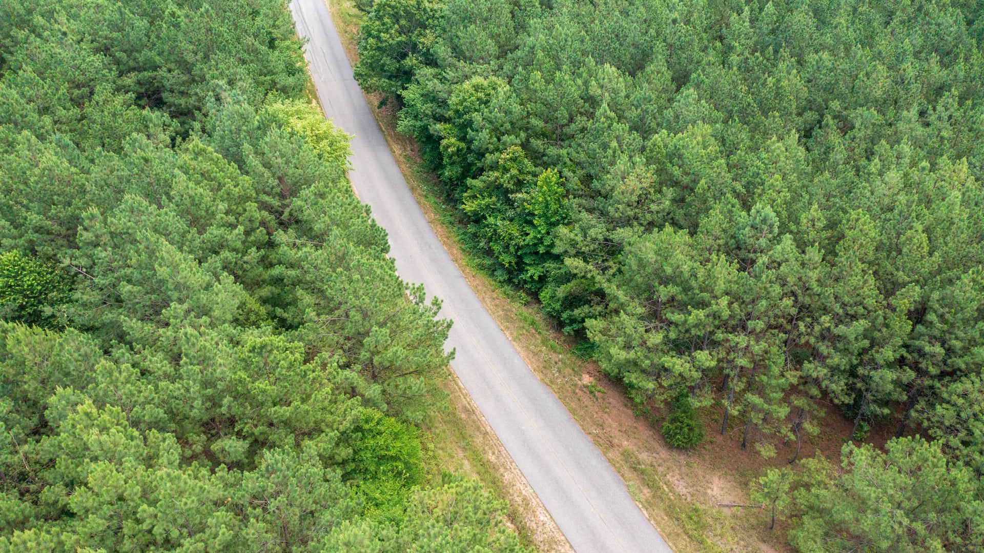 Whiskey Ridge photo 1