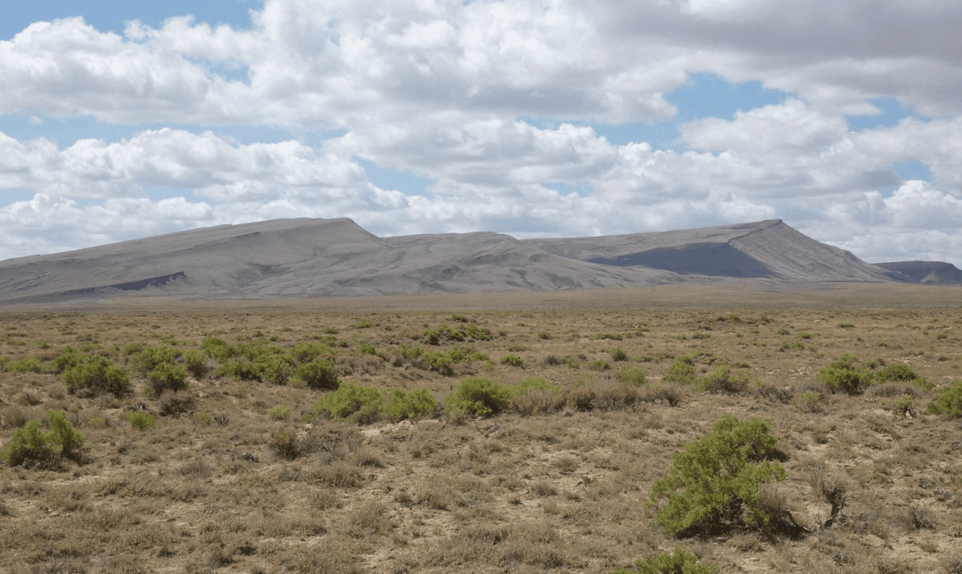 Saddle Ridge Ranches photo 1